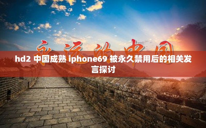 hd2 中国成熟 iphone69 被永久禁用后的相关发言探讨