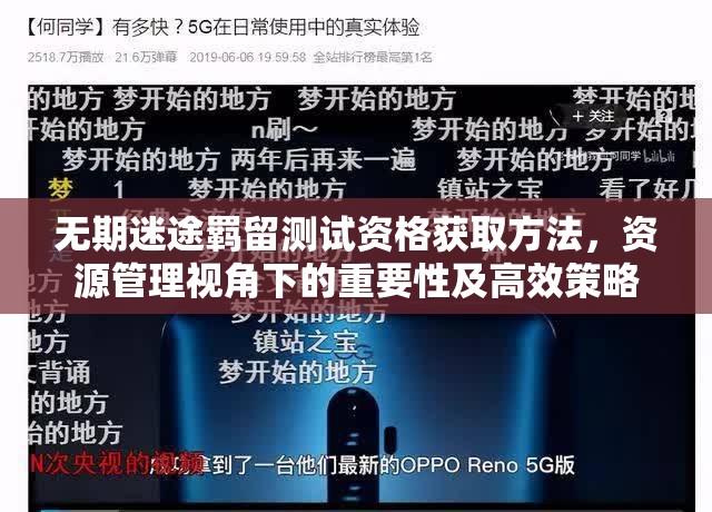 无期迷途羁留测试资格获取方法，资源管理视角下的重要性及高效策略