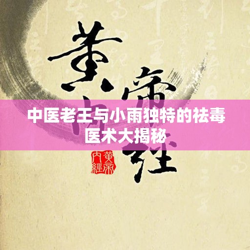 中医老王与小雨独特的祛毒医术大揭秘
