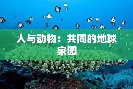 人与动物：共同的地球家园
