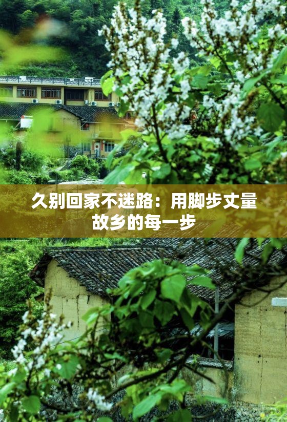 久别回家不迷路：用脚步丈量故乡的每一步