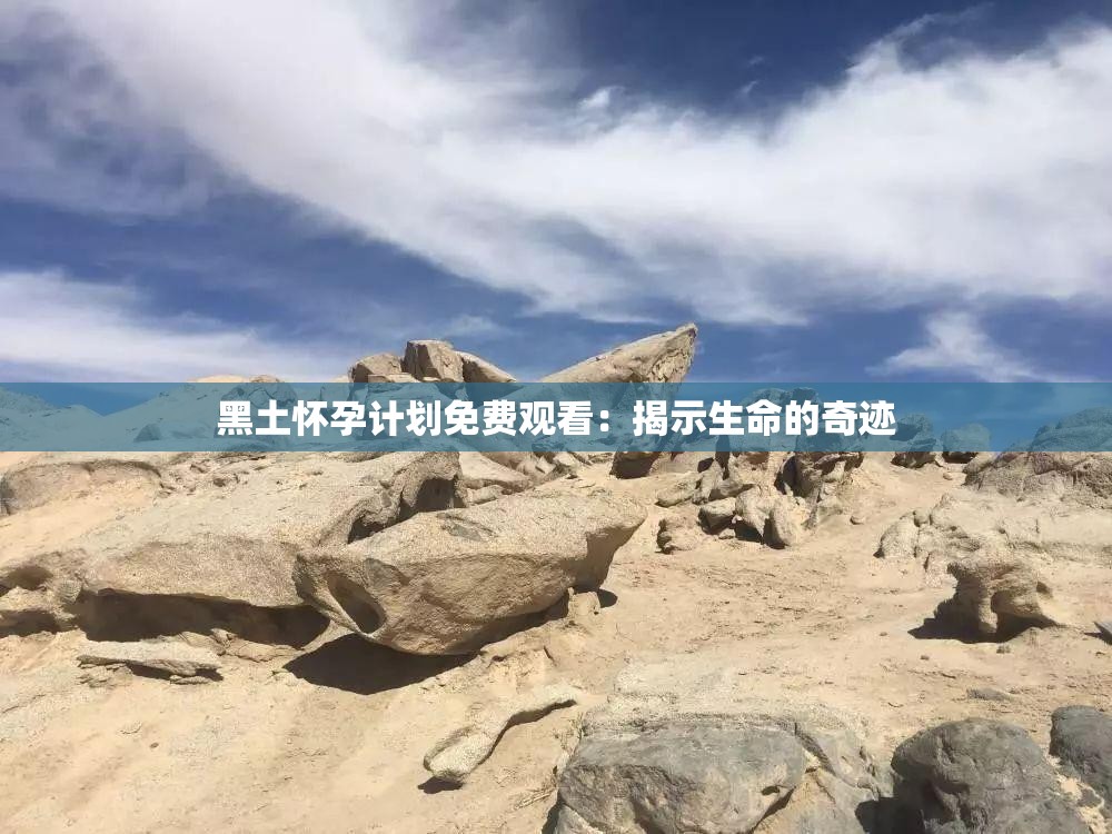 黑土怀孕计划免费观看：揭示生命的奇迹