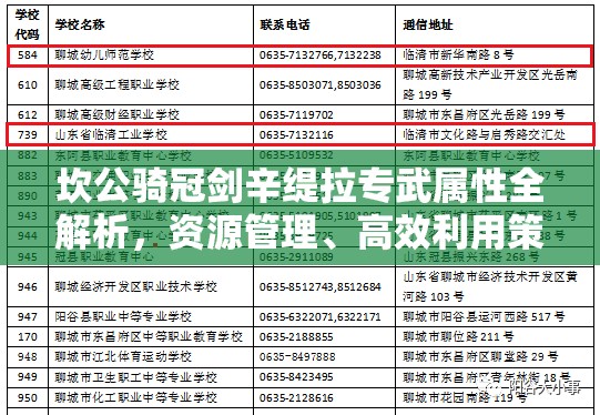 坎公骑冠剑辛缇拉专武属性全解析，资源管理、高效利用策略以最大化其价值