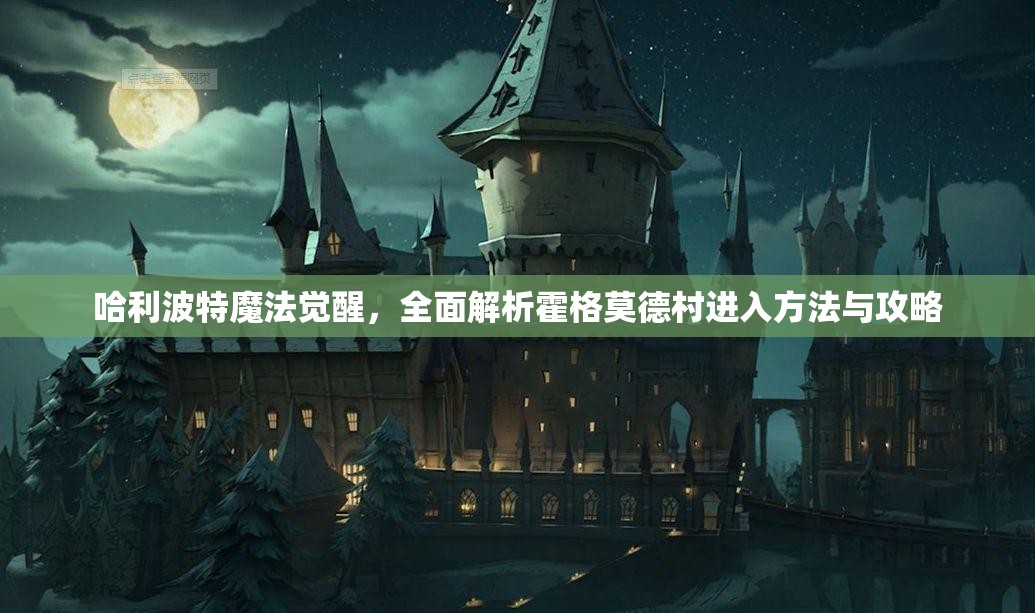 哈利波特魔法觉醒，全面解析霍格莫德村进入方法与攻略
