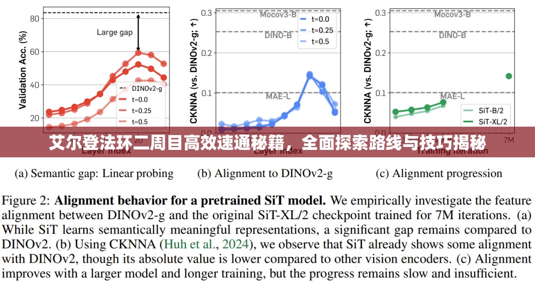 艾尔登法环二周目高效速通秘籍，全面探索路线与技巧揭秘