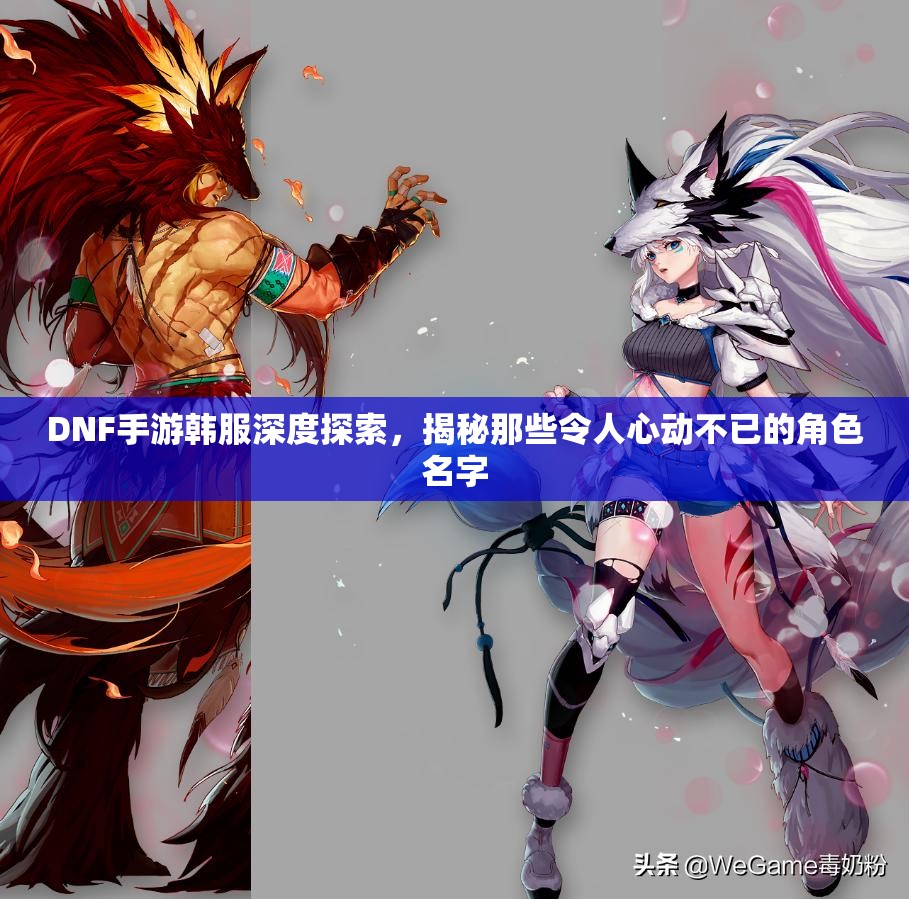 DNF手游韩服深度探索，揭秘那些令人心动不已的角色名字