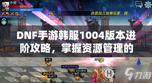 DNF手游韩服1004版本进阶攻略，掌握资源管理的艺术，提升游戏效率