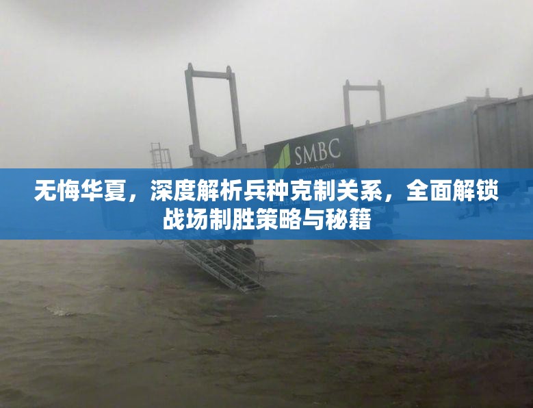 无悔华夏，深度解析兵种克制关系，全面解锁战场制胜策略与秘籍