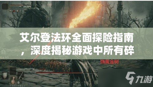 艾尔登法环全面探险指南，深度揭秘游戏中所有碎片君王的具体位置