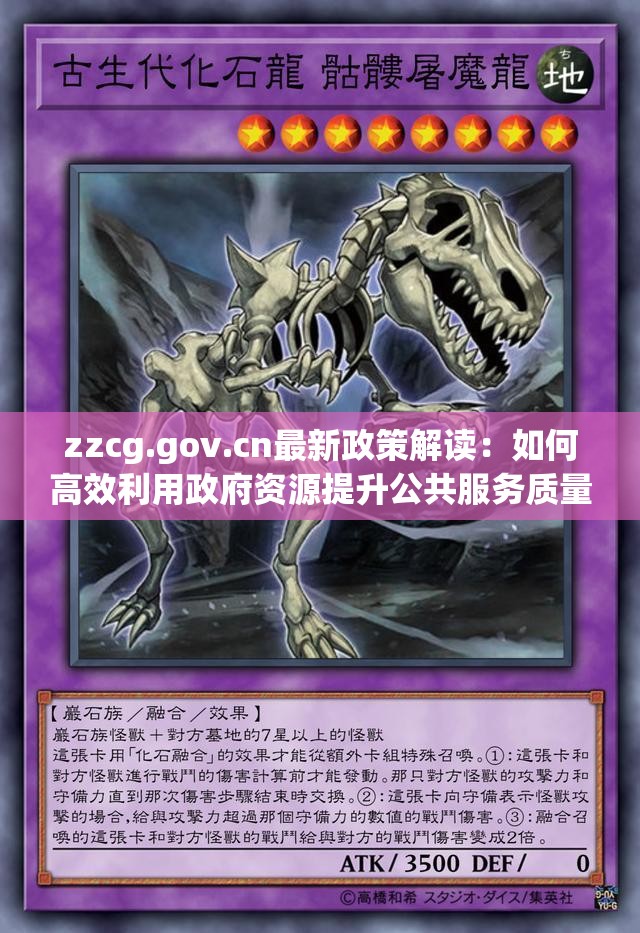 zzcg.gov.cn最新政策解读：如何高效利用政府资源提升公共服务质量