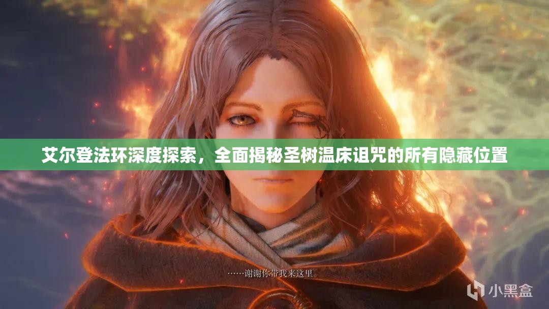 艾尔登法环深度探索，全面揭秘圣树温床诅咒的所有隐藏位置