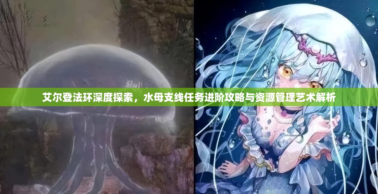 艾尔登法环深度探索，水母支线任务进阶攻略与资源管理艺术解析