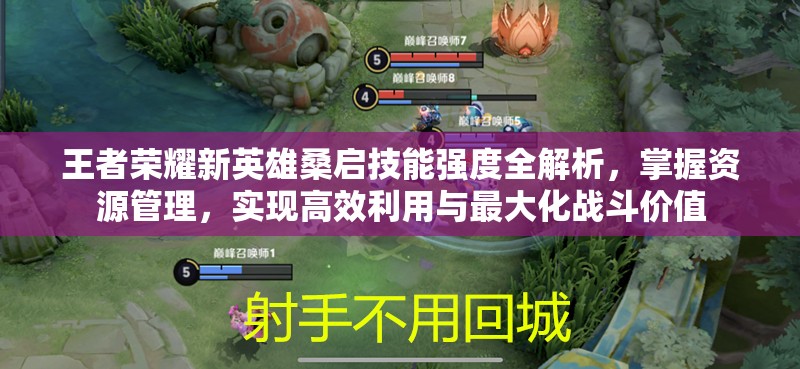 王者荣耀新英雄桑启技能强度全解析，掌握资源管理，实现高效利用与最大化战斗价值