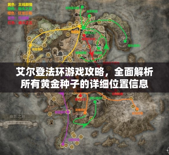 艾尔登法环游戏攻略，全面解析所有黄金种子的详细位置信息