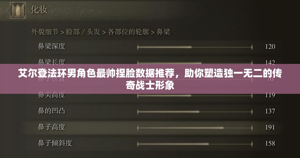 艾尔登法环男角色最帅捏脸数据推荐，助你塑造独一无二的传奇战士形象