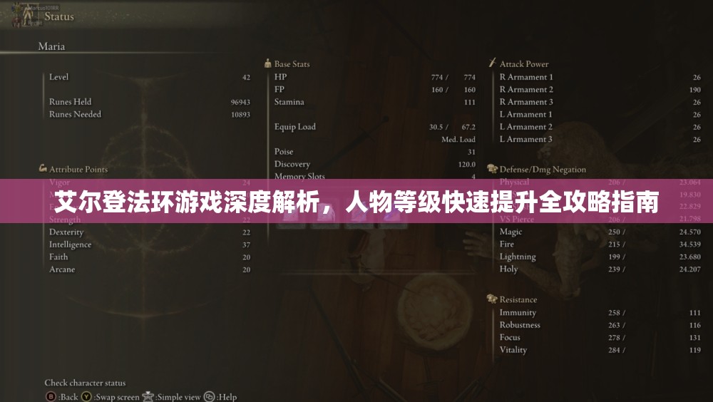 艾尔登法环游戏深度解析，人物等级快速提升全攻略指南