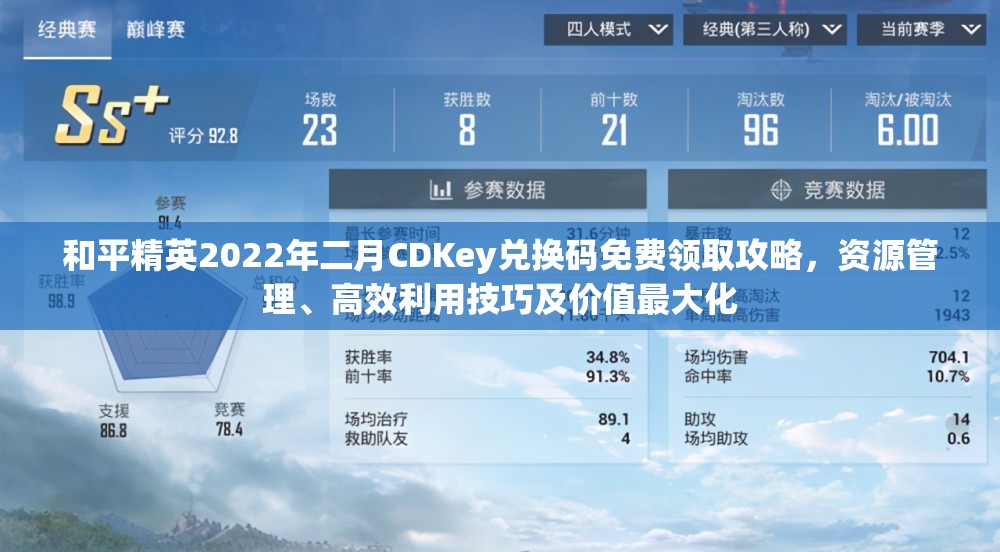 和平精英2022年二月CDKey兑换码免费领取攻略，资源管理、高效利用技巧及价值最大化