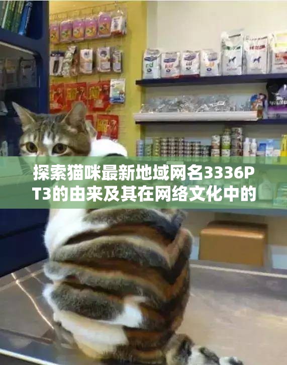 探索猫咪最新地域网名3336PT3的由来及其在网络文化中的独特意义