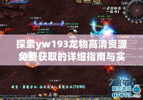 探索yw193龙物高清资源免费获取的详细指南与实用技巧分享