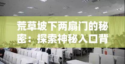 荒草坡下两扇门的秘密：探索神秘入口背后的历史与传说