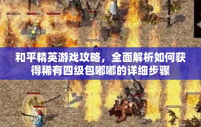 和平精英游戏攻略，全面解析如何获得稀有四级包嘟嘟的详细步骤