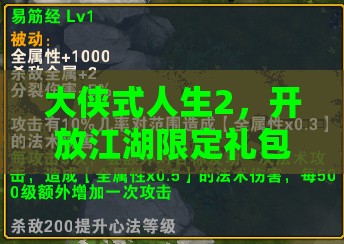 大侠式人生2，开放江湖限定礼包码全览，揭秘资源管理的高效艺术