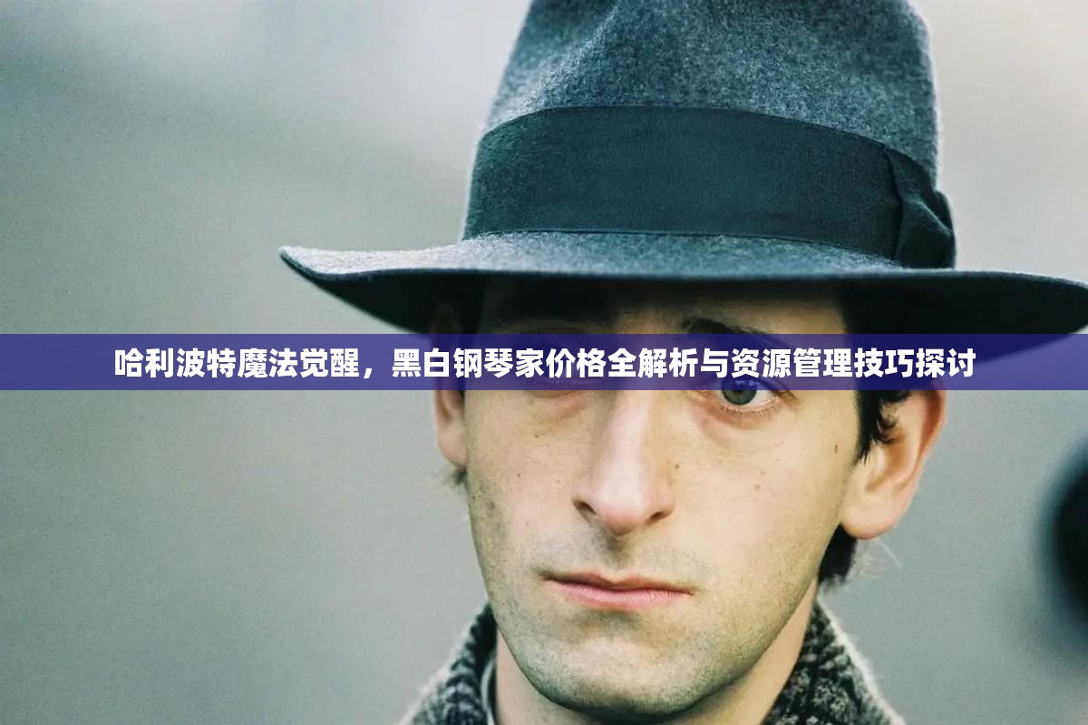 哈利波特魔法觉醒，黑白钢琴家价格全解析与资源管理技巧探讨