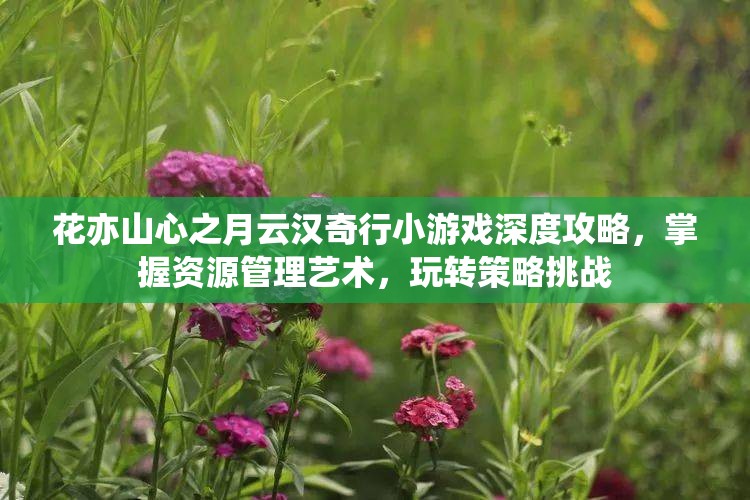 花亦山心之月云汉奇行小游戏深度攻略，掌握资源管理艺术，玩转策略挑战