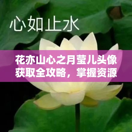花亦山心之月莹儿头像获取全攻略，掌握资源管理艺术，轻松解锁专属头像