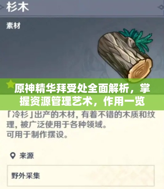 原神精华拜受处全面解析，掌握资源管理艺术，作用一览无遗