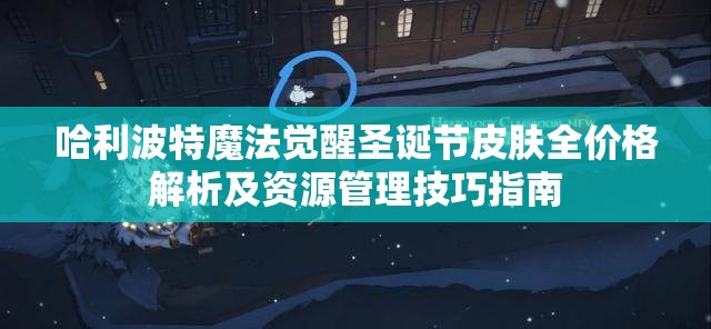 哈利波特魔法觉醒圣诞节皮肤全价格解析及资源管理技巧指南
