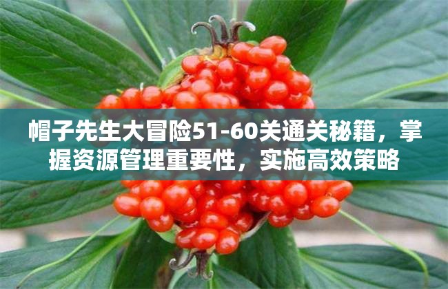 帽子先生大冒险51-60关通关秘籍，掌握资源管理重要性，实施高效策略