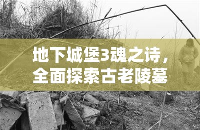 地下城堡3魂之诗，全面探索古老陵墓位置，揭秘高效资源管理的艺术