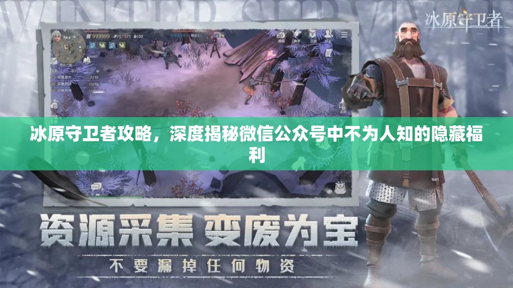 冰原守卫者攻略，深度揭秘微信公众号中不为人知的隐藏福利