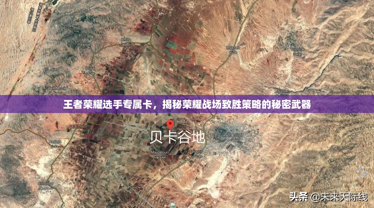 王者荣耀选手专属卡，揭秘荣耀战场致胜策略的秘密武器