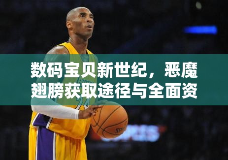 数码宝贝新世纪，恶魔翅膀获取途径与全面资源管理优化策略
