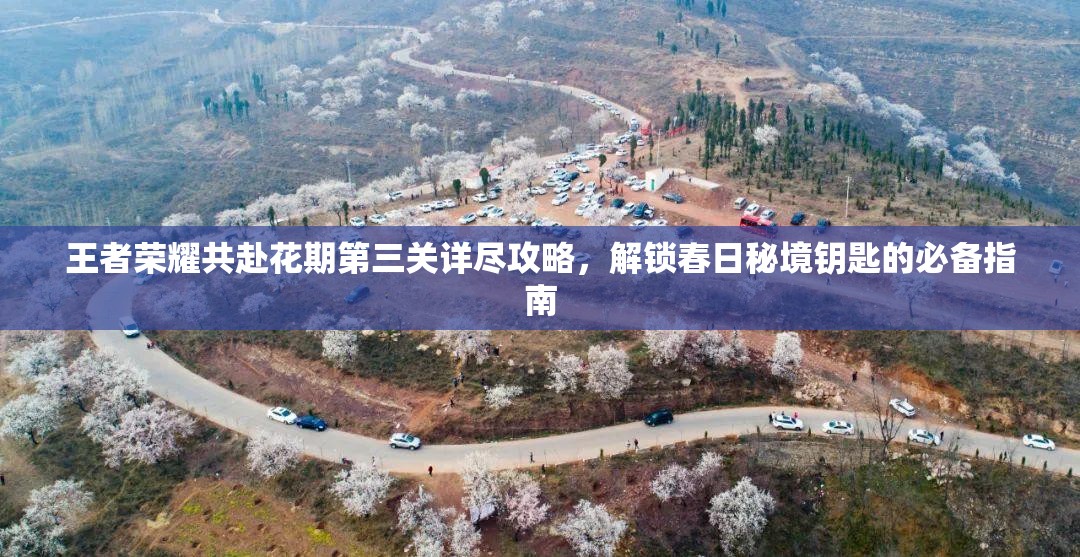 王者荣耀共赴花期第三关详尽攻略，解锁春日秘境钥匙的必备指南