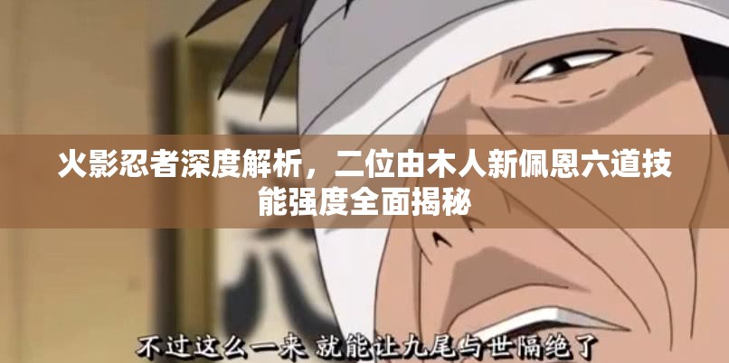 火影忍者深度解析，二位由木人新佩恩六道技能强度全面揭秘