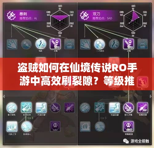 盗贼如何在仙境传说RO手游中高效刷裂隙？等级推荐攻略有何演变？