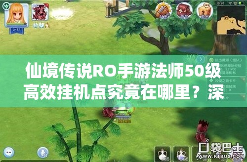 仙境传说RO手游法师50级高效挂机点究竟在哪里？深度解析来了！