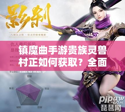 镇魔曲手游贵族灵兽村正如何获取？全面技能攻略深度揭秘