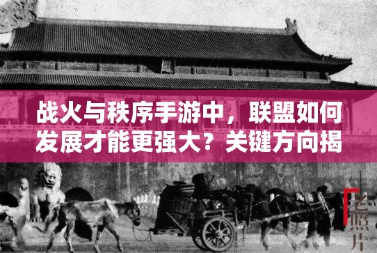 战火与秩序手游中，联盟如何发展才能更强大？关键方向揭秘！