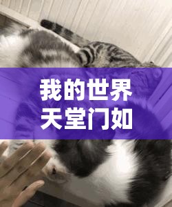 我的世界天堂门如何制作？其使用情况及演变史揭秘悬念重重