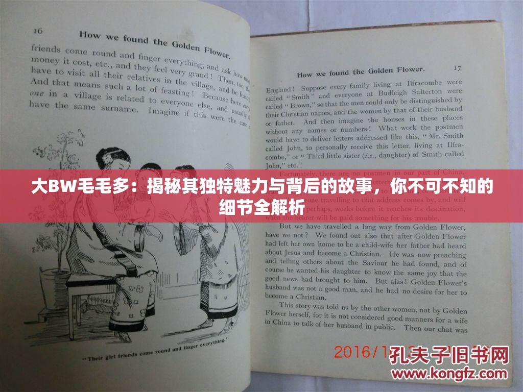 大BW毛毛多：揭秘其独特魅力与背后的故事，你不可不知的细节全解析