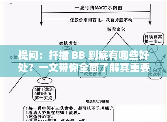 提问：扦插 BB 到底有哪些好处？一文带你全面了解其重要意义