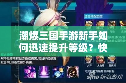 潮爆三国手游新手如何迅速提升等级？快速升级攻略指南揭秘！