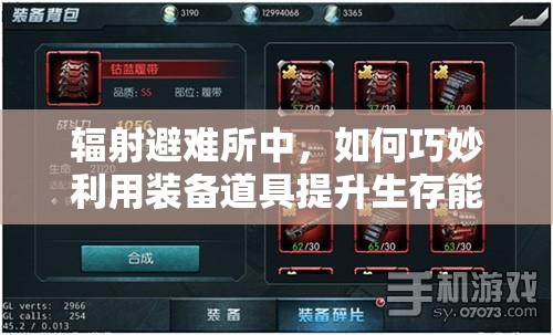 辐射避难所中，如何巧妙利用装备道具提升生存能力？