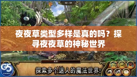 夜夜草类型多样是真的吗？探寻夜夜草的神秘世界