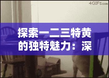 探索一二三特黄的独特魅力：深入了解其历史、文化背景及现代应用价值