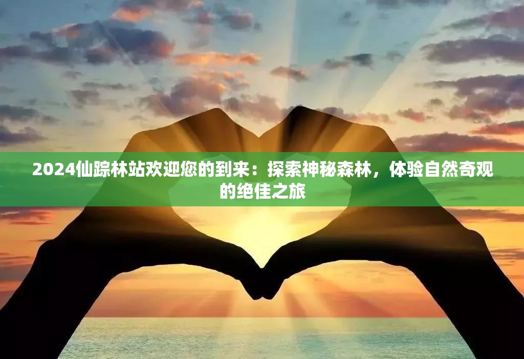 2024仙踪林站欢迎您的到来：探索神秘森林，体验自然奇观的绝佳之旅
